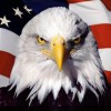 Eagle4Life69's profile picture 